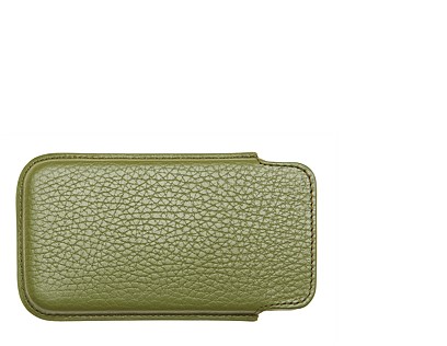 iPhone_Case_Green_SL12222